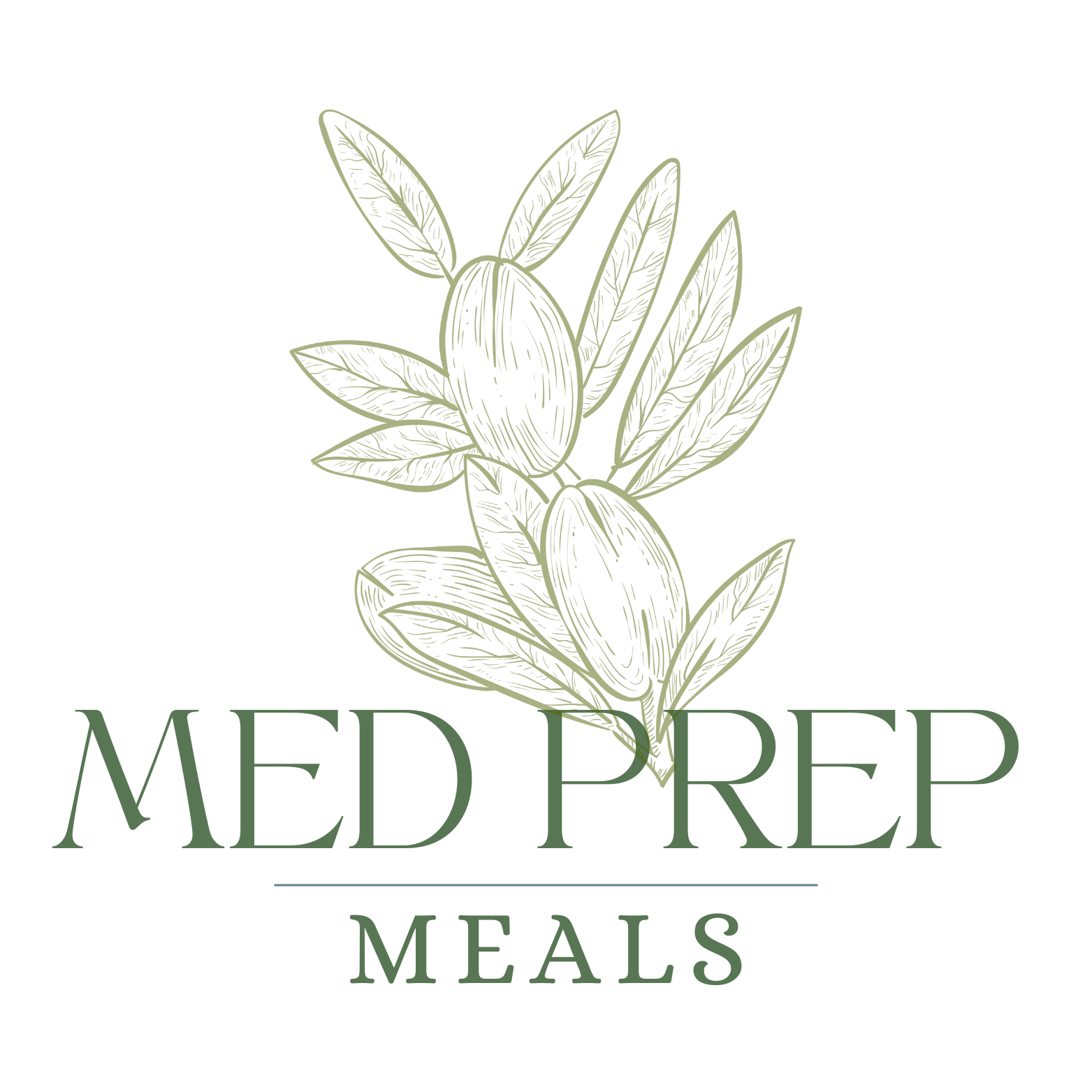 Med Prep Meals